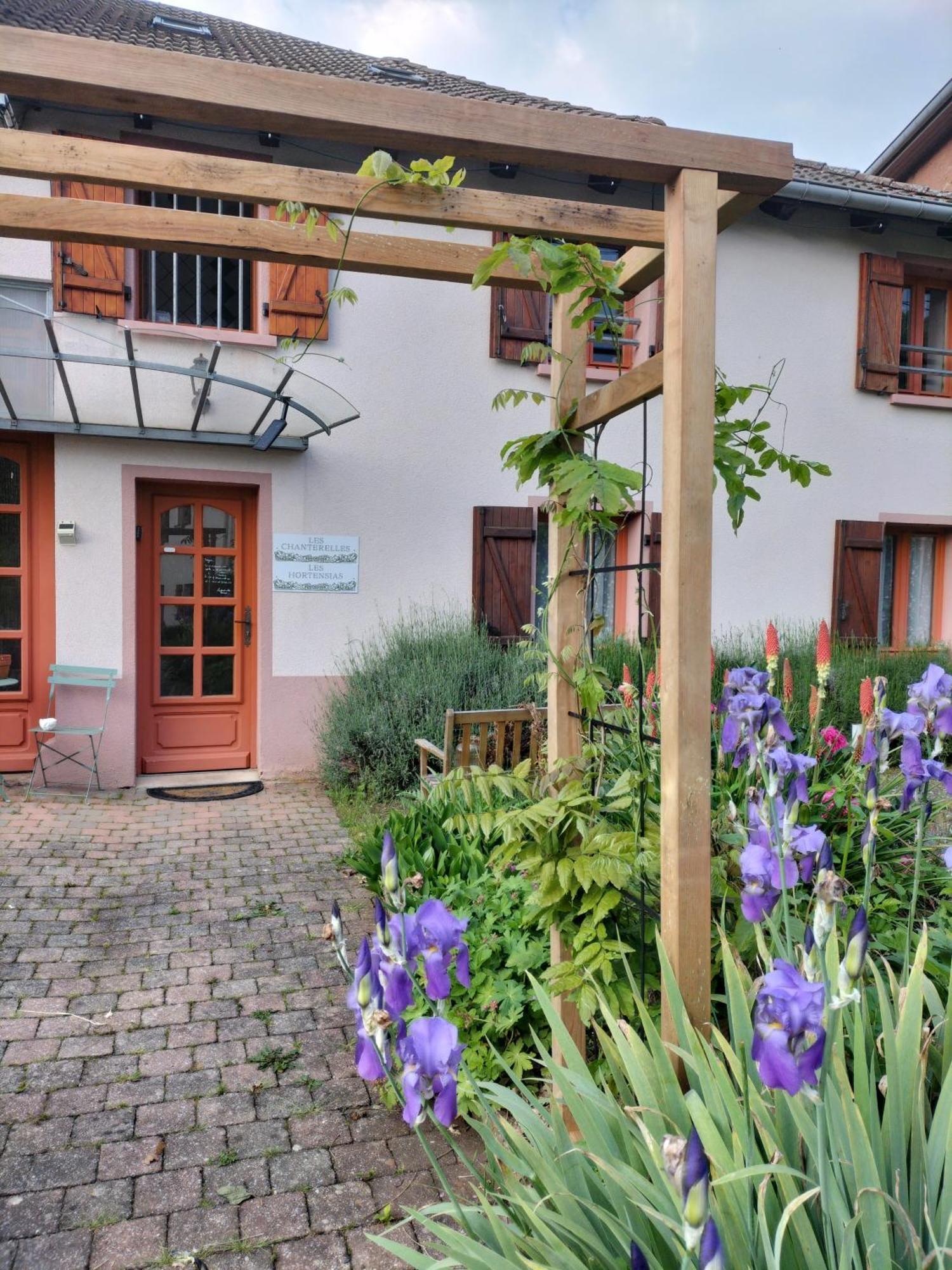 Les Hortensias La Souris Des Champs Étival-Clairefontaine Exterior photo